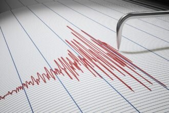 Seismic graph