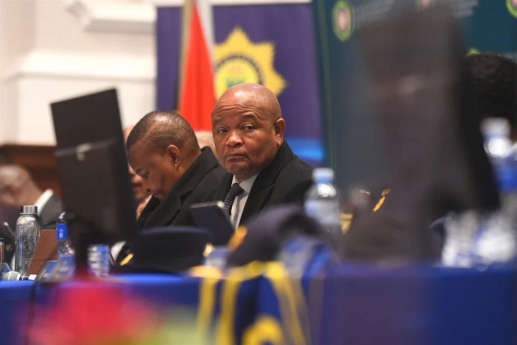 south african police minister