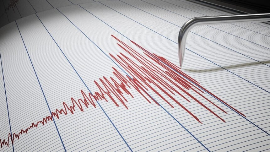 Seismic graph